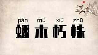 蟠木朽株