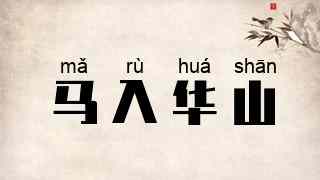 马入华山