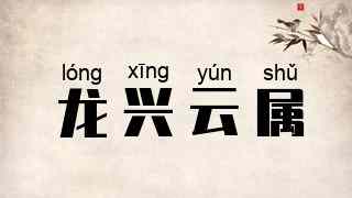 龙兴云属