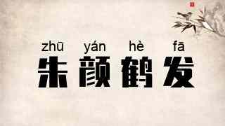 朱颜鹤发