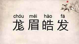 尨眉皓发