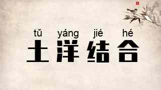 土洋结合