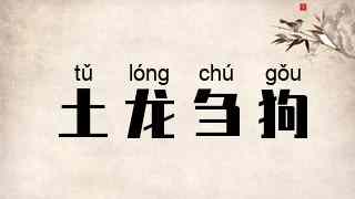 土龙刍狗