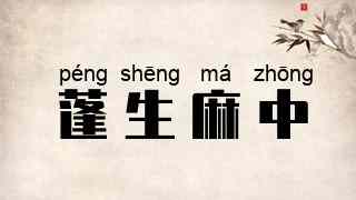 蓬生麻中