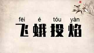 飞蛾投焰
