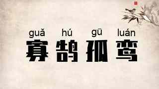 寡鹄孤鸾