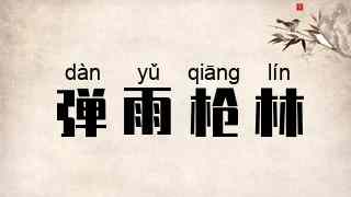 弹雨枪林