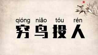 穷鸟投人