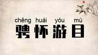 骋怀游目