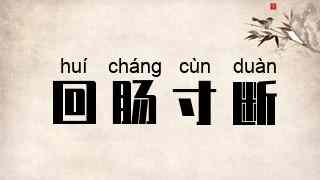 回肠寸断