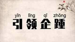 引领企踵