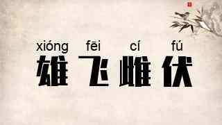 雄飞雌伏