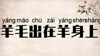 羊毛出在羊身上