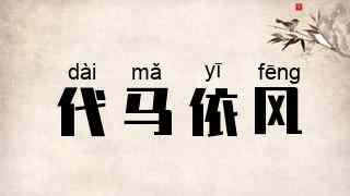代马依风