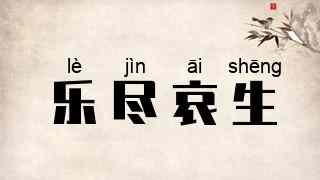 乐尽哀生