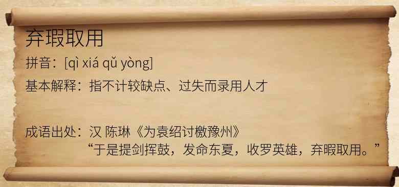 弃瑕取用