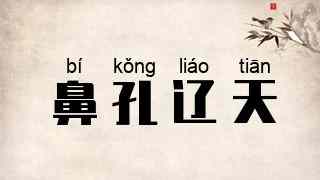 鼻孔辽天