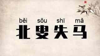 北叟失马