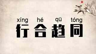 行合趋同