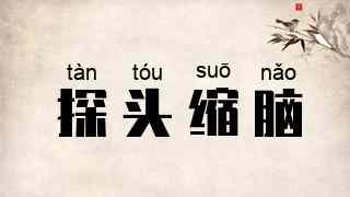 探头缩脑