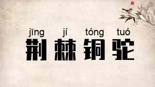荆棘铜驼