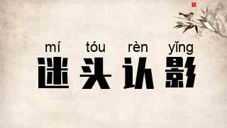 迷头认影