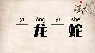 一龙一蛇