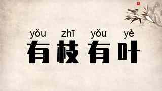 有枝有叶