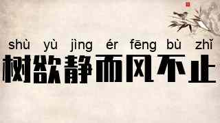 树欲静而风不止