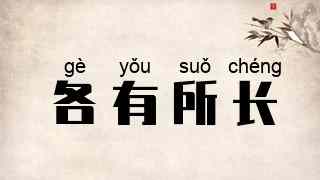 各有所长