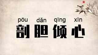 剖胆倾心