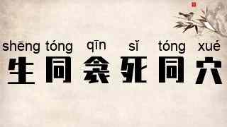 生同衾，死同穴