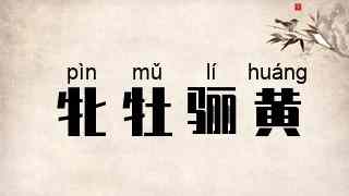 牝牡骊黄