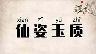 仙姿玉质