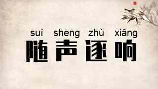 随声逐响