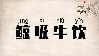 鲸吸牛饮