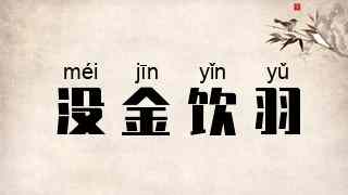没金饮羽