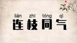 连枝同气
