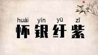 怀银纡紫