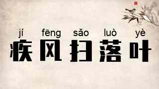 疾风扫落叶