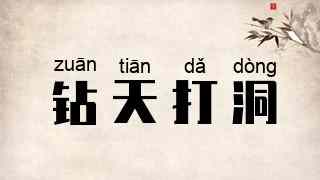 钻天打洞