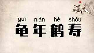 龟年鹤寿