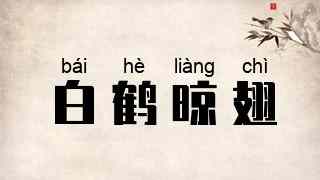 白鹤晾翅