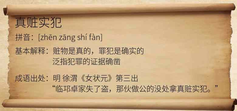 真赃实犯