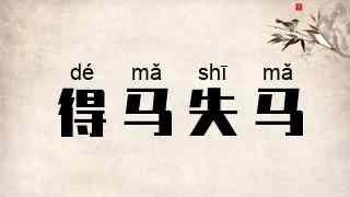 得马失马