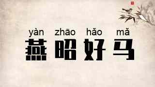 燕昭好马