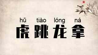 虎跳龙拿