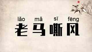 老马嘶风