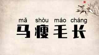 马瘦毛长