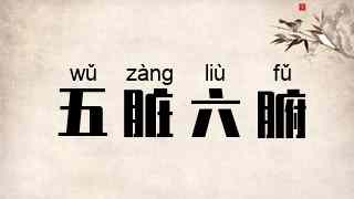 五脏六腑
